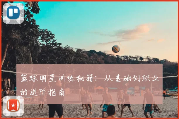 篮球明星训练秘籍：从基础到职业的进阶指南