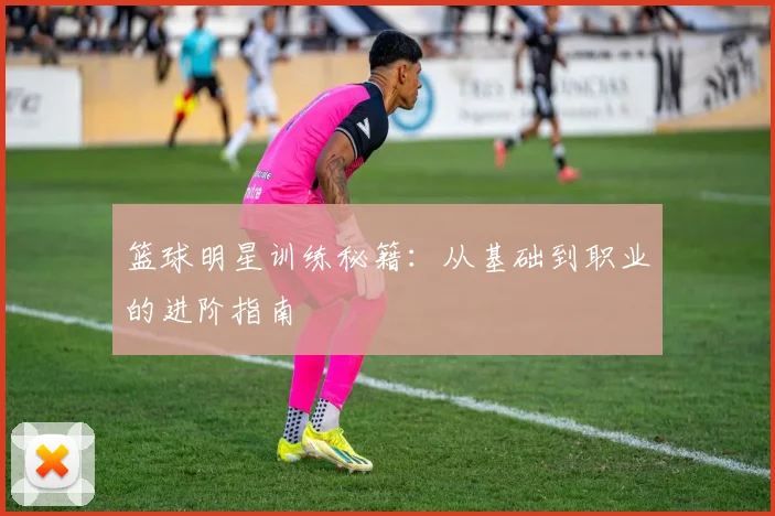 篮球明星训练秘籍:从基础到职业的进阶指南